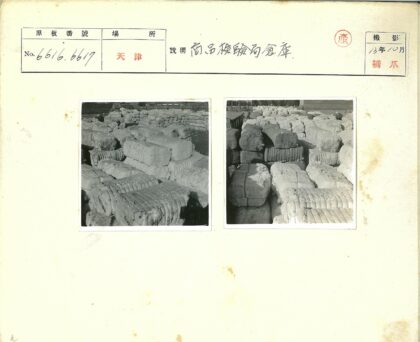 多彩棉花捆与自然树景.jpg