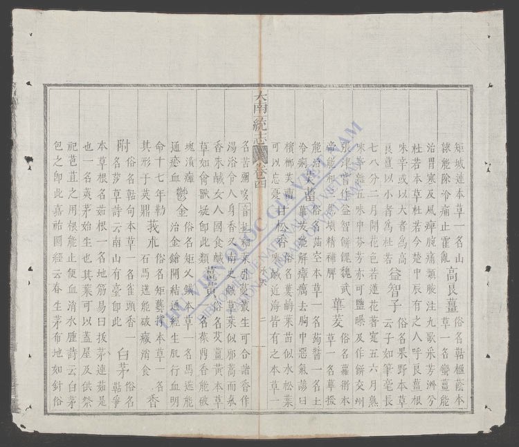 大南一统志(q.)-