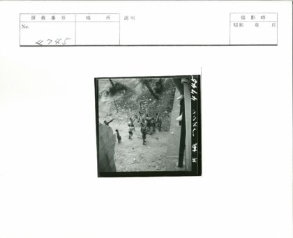 孩子们在树林中探索玩耍.jpg