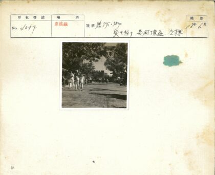 孩童携手漫步林荫街道.jpg