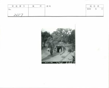 孩童林间土路嬉戏.jpg