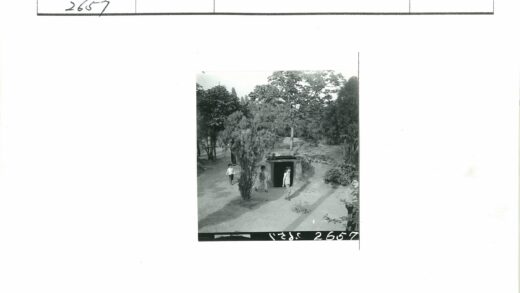 孩童林间土路嬉戏.jpg