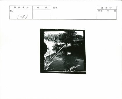 宁静河畔拱桥绿荫倒影.jpg