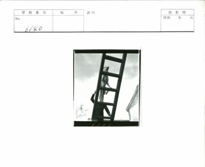 屋顶梯子上的狗与多云天空.jpg