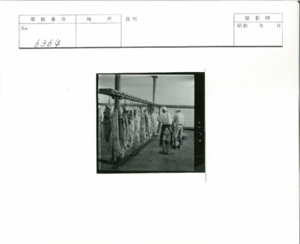 屠夫在瓷砖房处理肉类.jpg