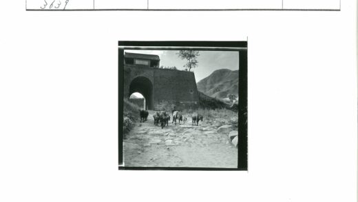 山区石门与牛群行进的古老小路.jpg