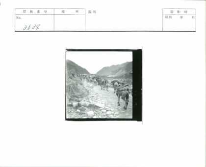 山区骆驼队穿越岩石小路.jpg