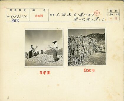 山地田野晒谷风光.jpg