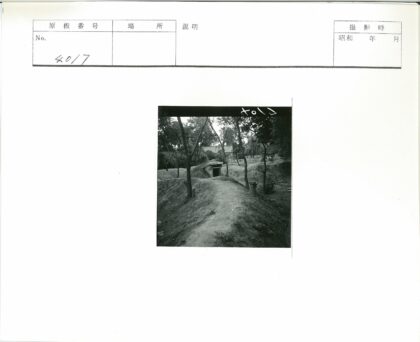 山林隐蔽入口自然景观.jpg