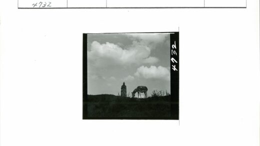 山羊吃草与高塔云景.jpg