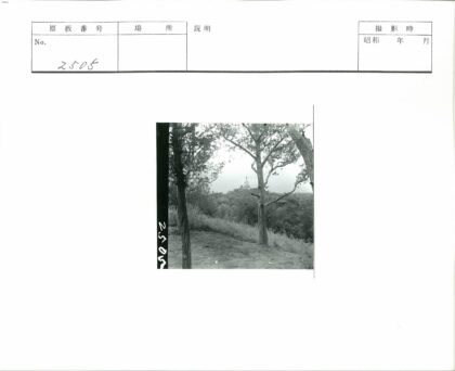 山顶圆顶建筑与绿树景观.jpg