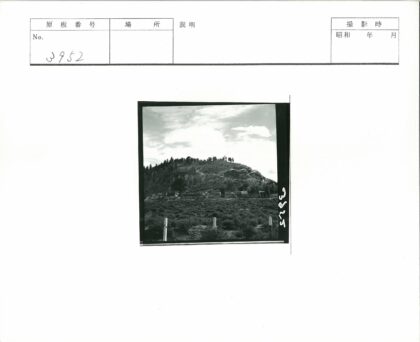 山顶森林与山脚建筑景观.jpg