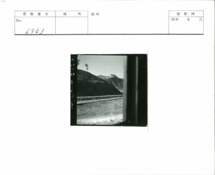 山顶草房与孤树土路.jpg