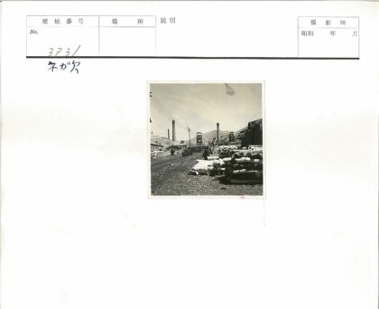 工业铁路与山景原木堆.jpg