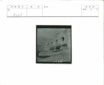 悬崖云海牧牛岩洞.jpg