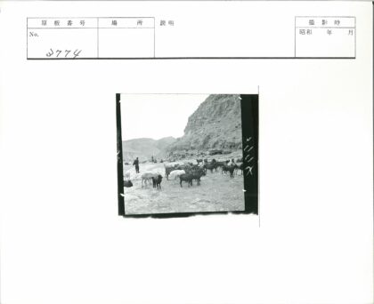 悬崖山羊与远山人群.jpg