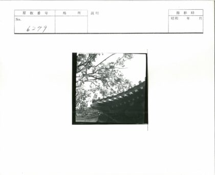 悬枝下华丽屋顶传统建筑.jpg