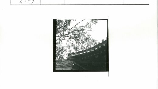 悬枝下华丽屋顶传统建筑.jpg