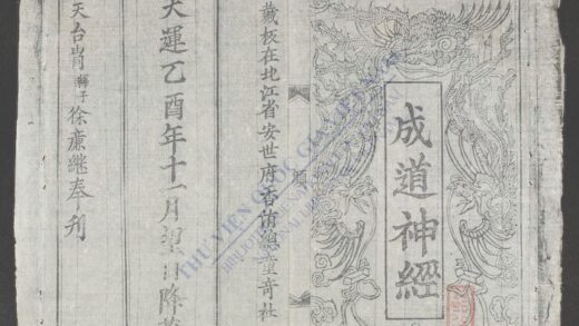 成道神经 1.jpg
