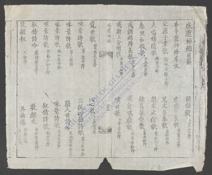 成道神经-