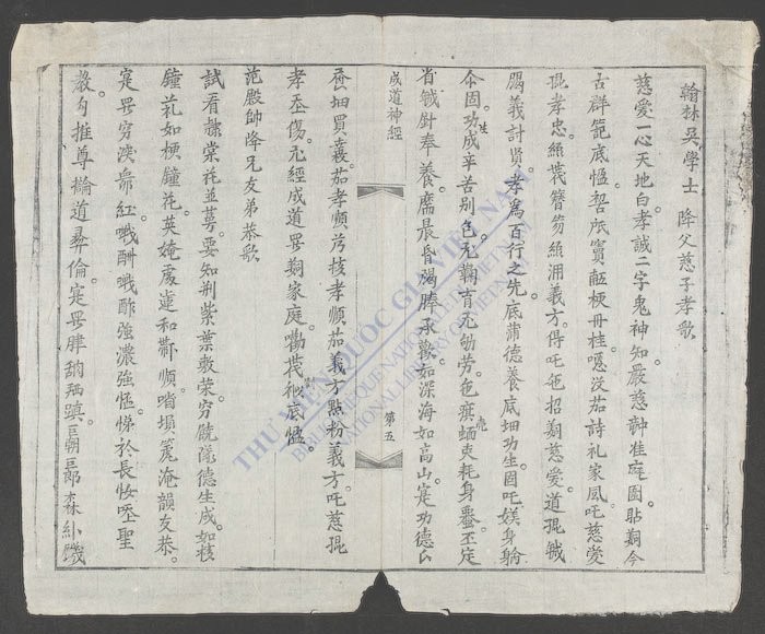 成道神经-