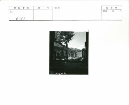 战后废墟与树黑白影像.jpg