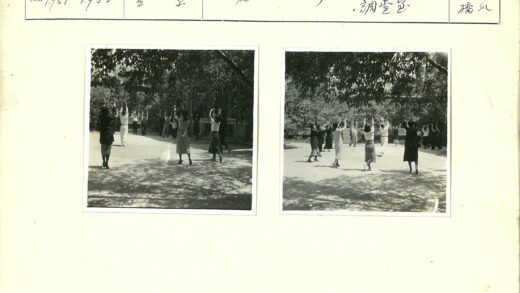 户外健身阳光树林.jpg