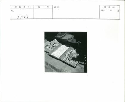 户外展示矿物岩石标本.jpg