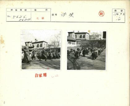 户外庭院集体健身活动.jpg