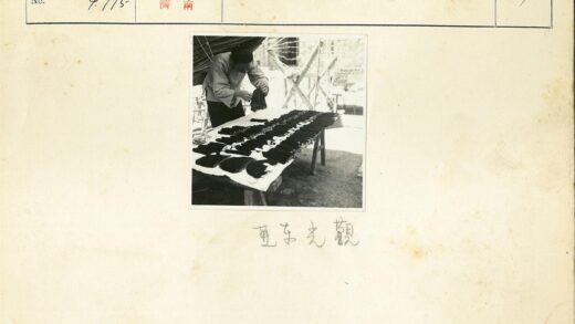 户外整理干海藻工作照.jpg