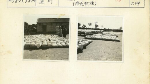 户外木托盘堆放袋装货物.jpg