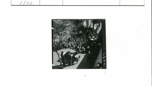 户外聚会人群树下野餐.jpg