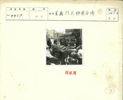 户外蔬菜市场与树荫下的人群.jpg