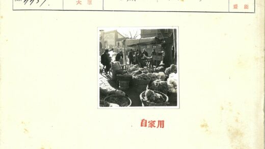 户外蔬菜市场与树荫下的人群.jpg