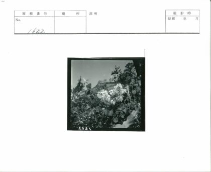 手握鲜花晴空树影建筑.jpg