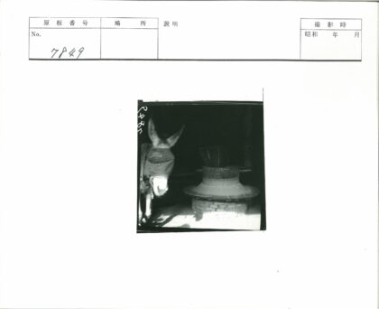 护脸驴子与古石磨.jpg