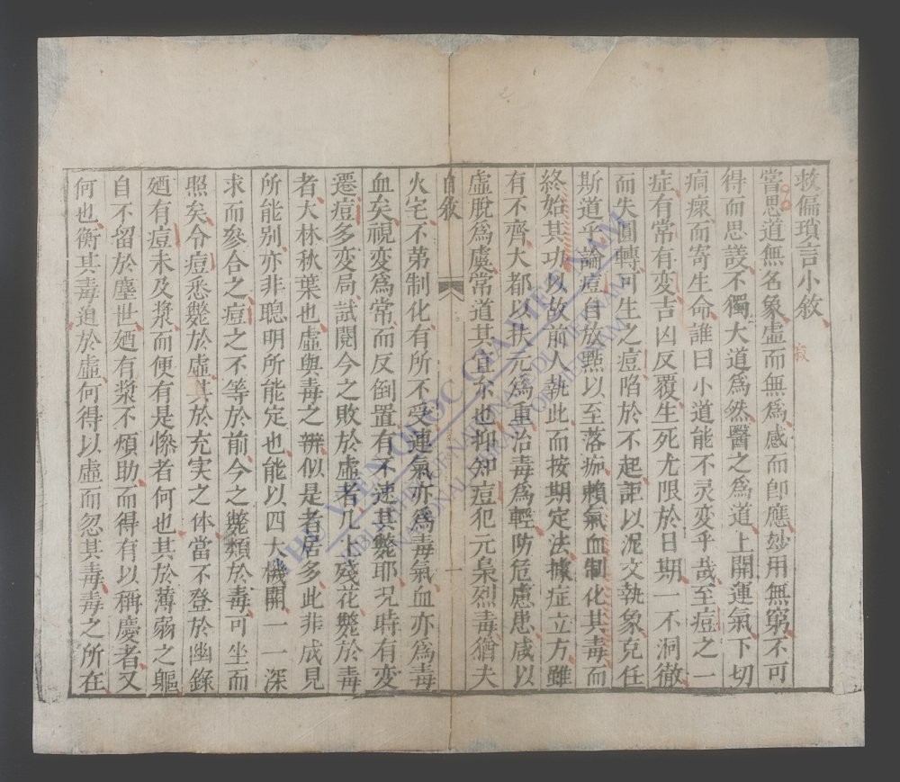救偏琐言-