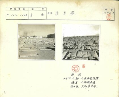 散落布片与远处人群.jpg