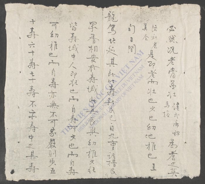文词体格-