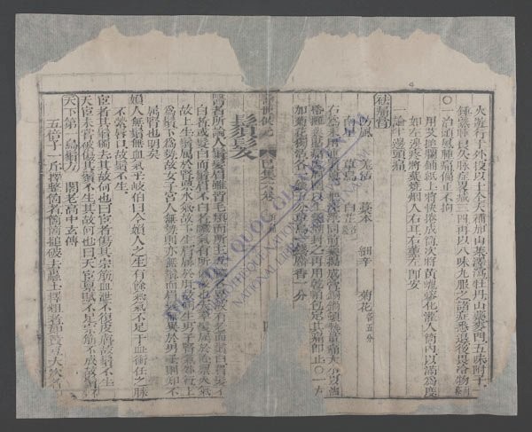 新刊医林状元寿世保元(q.)-