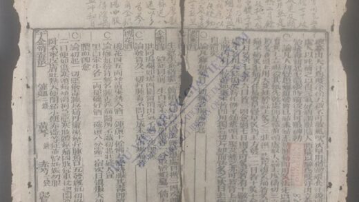 新刊医林状元寿世保元q.09 10 1.jpg