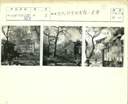 春日小路旁的建筑与花树.jpg
