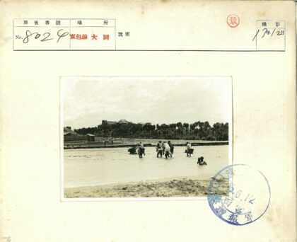 晴日浅河行人树木建筑风景.jpg