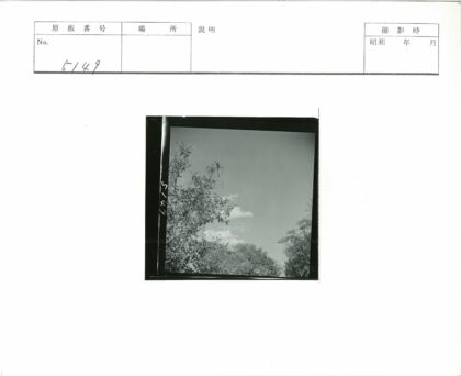 晴朗天空下的黑白云朵.jpg