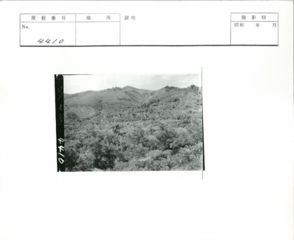 晴朗山地茂密植被景观.jpg