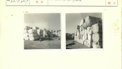 晴空下堆满棉花包的旧时光.jpg