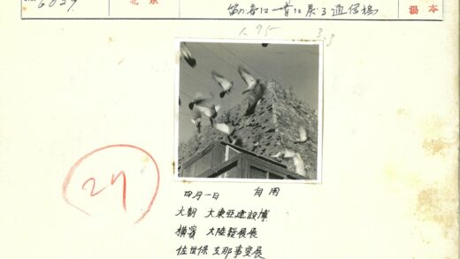 晴空下旧建筑群鸽飞翔.jpg