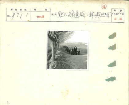 晴空下秃树土路远眺建筑.jpg