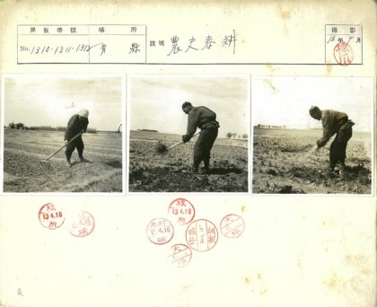 晴空田野农耕远树.jpg
