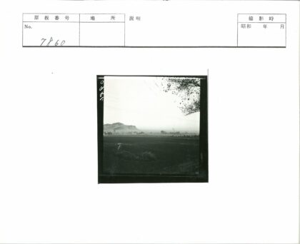 晴空田野远山树枝风景.jpg